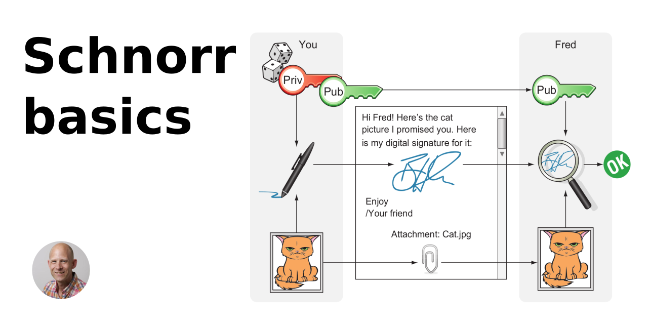 Image for Schnorr basics
